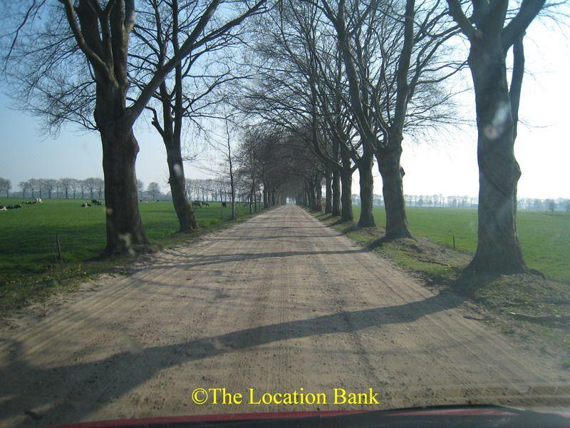 Unpaved Stra&szlig;e mit B&auml;umen