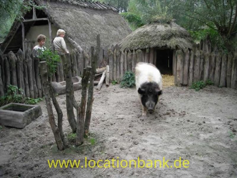 Pr&auml;historische h&uuml;tte