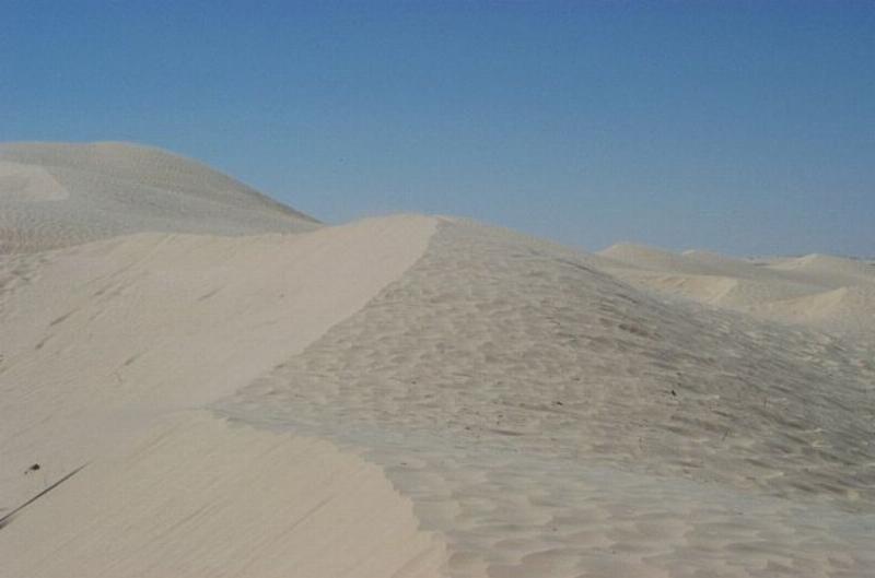 Desert Dune
