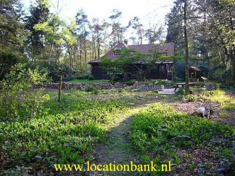 foresthouse