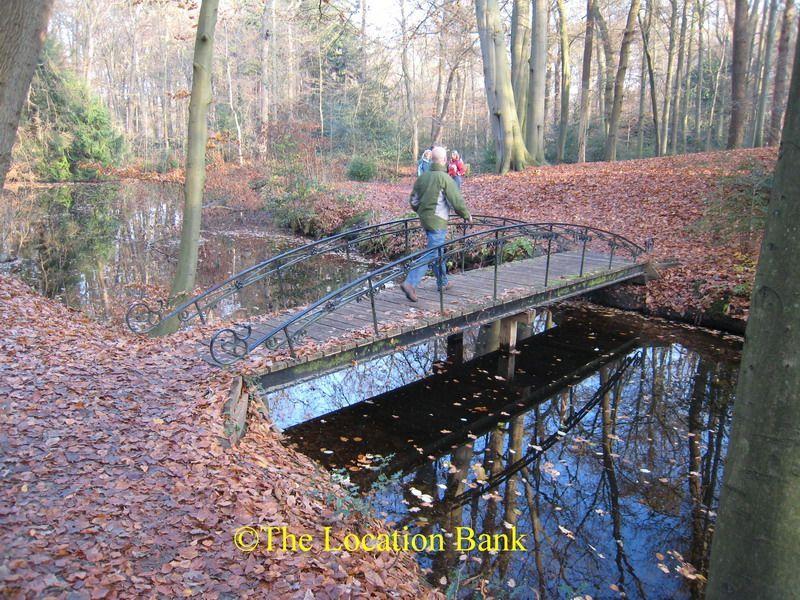 Forest foot Br&uuml;cke