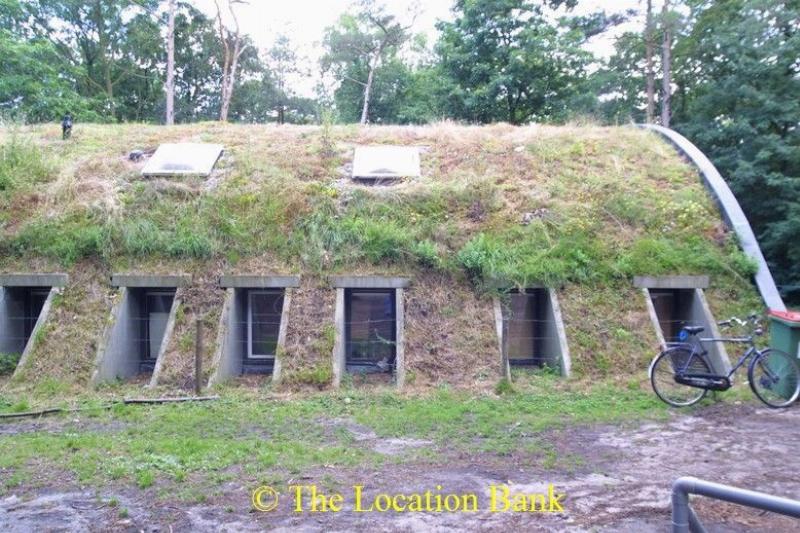 Building in forest