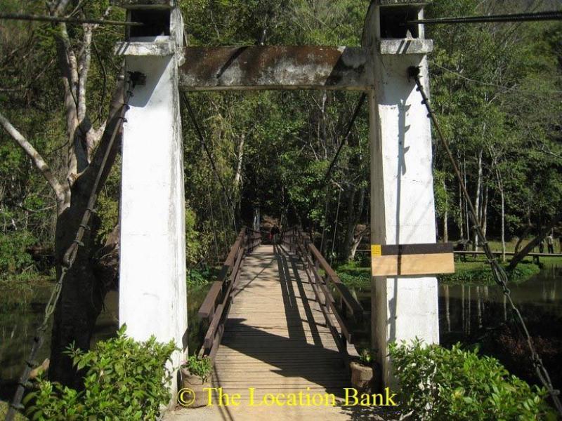 Br&uuml;cke in the jungle