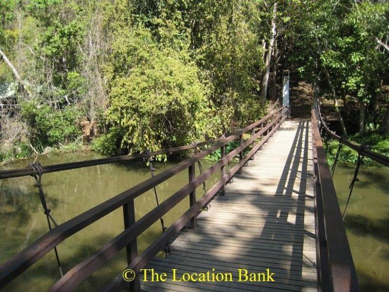 Br&uuml;cke in the jungle