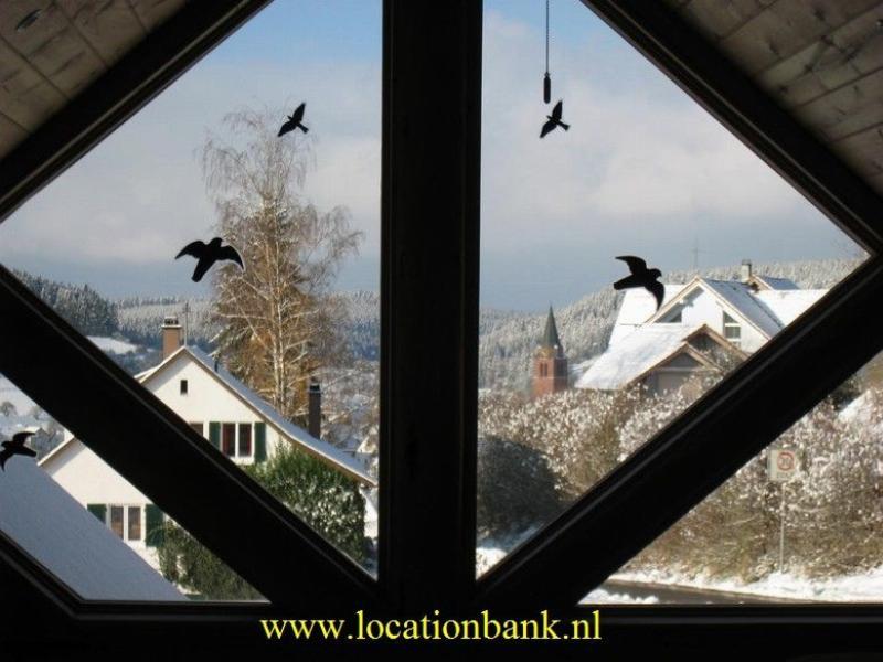 Window in wooden cottage
