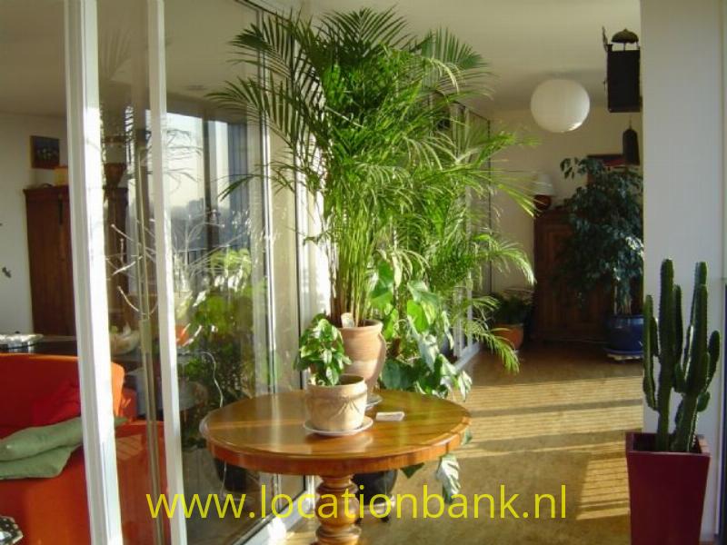 film location 1114