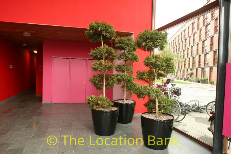 film location 1114