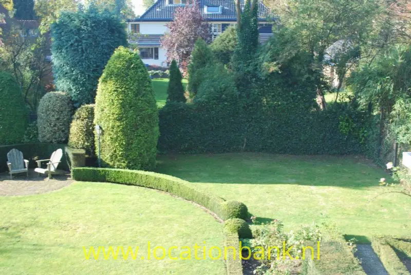 tuin