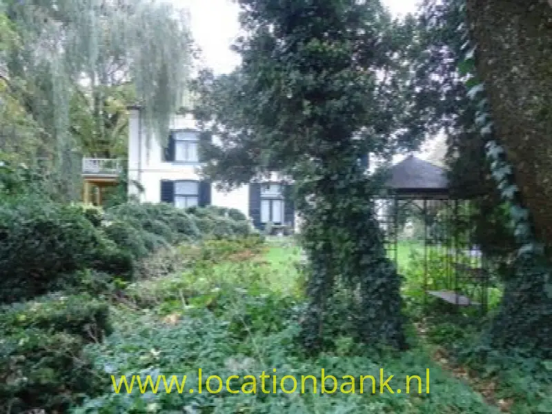 verwilderde tuin