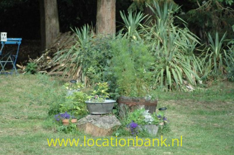 bloemen binnenplaats tuin