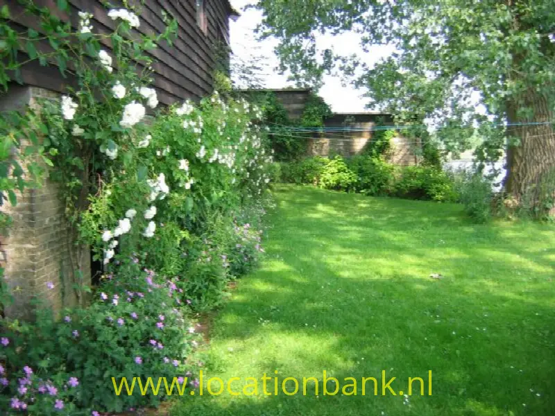 tuin