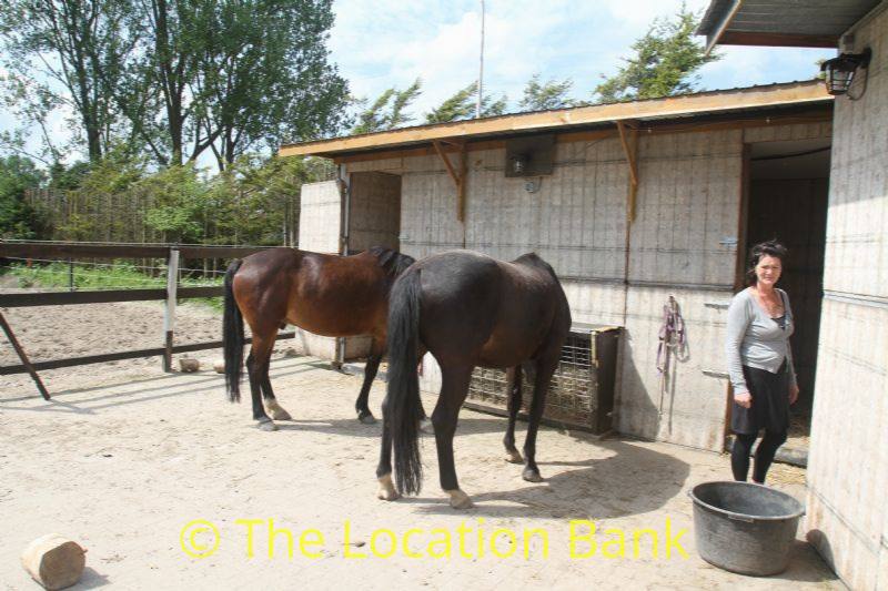 Paarden stallen