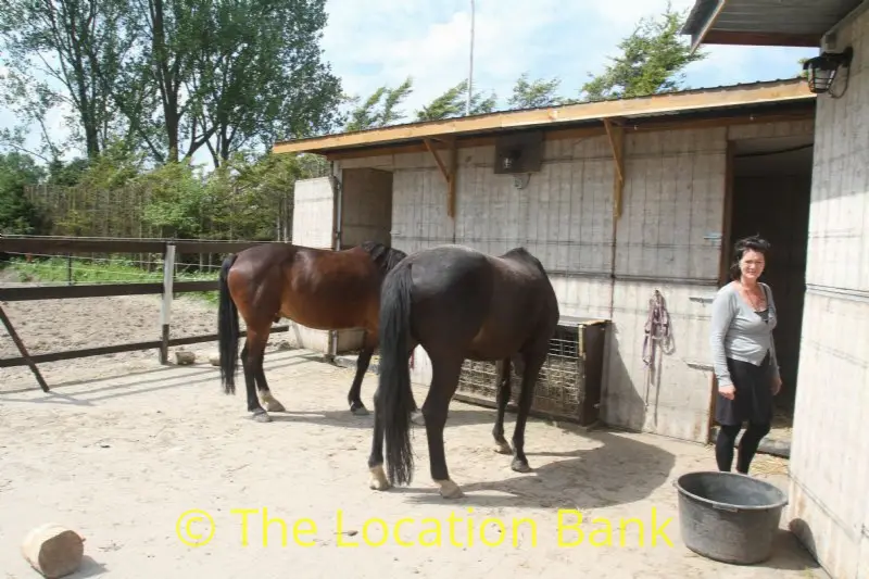 Paarden stallen