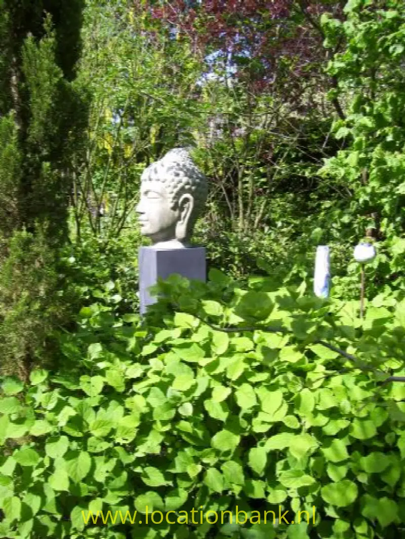 Grote Boeddha vrij tussen het groen