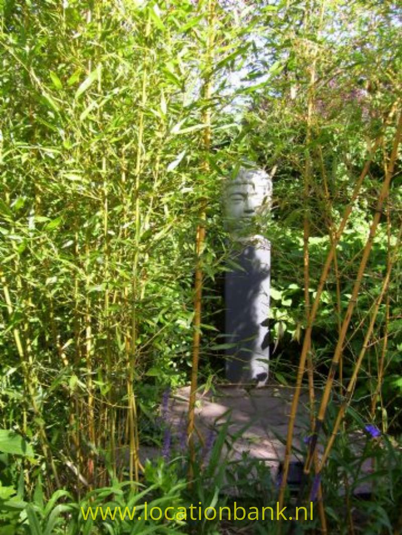 Bamboo doorkijkje