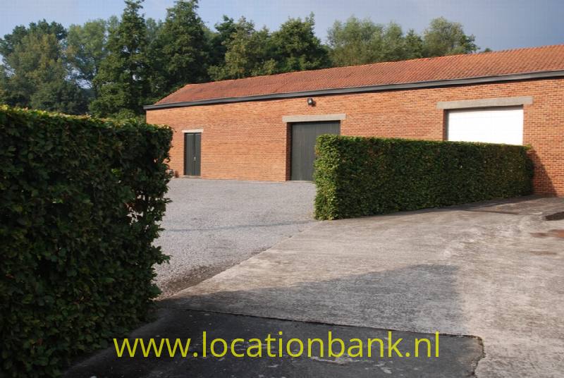 foto_45424