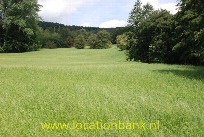 foto_45426