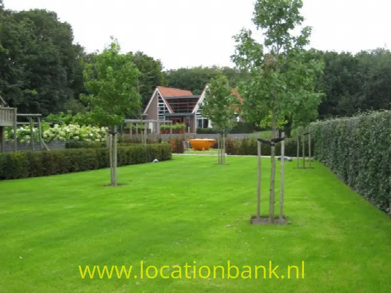 tuin