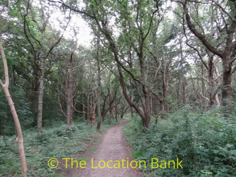 film location 1264