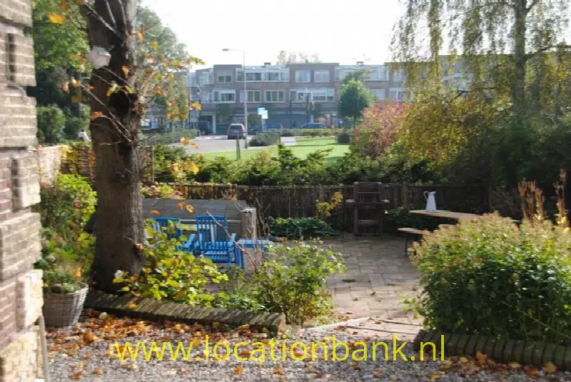tuin