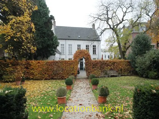 tuin