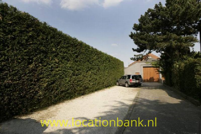 foto_9682