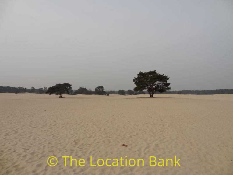 woestijn zandvlakte