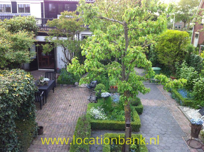 foto_11809