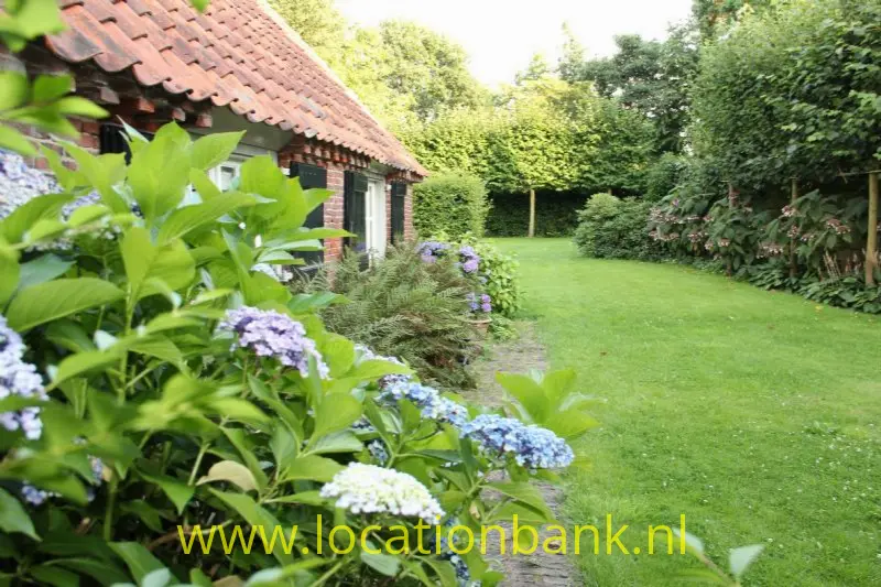 tuin