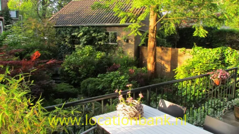Zomertuin2