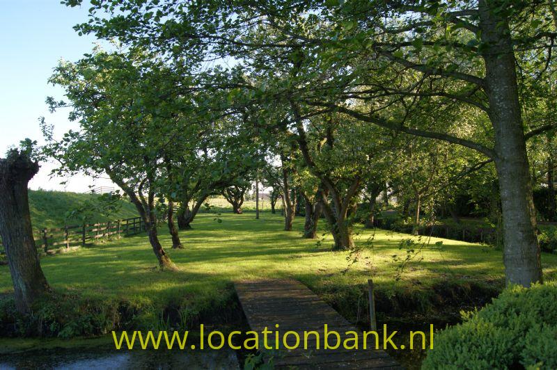film location 1680