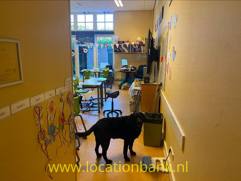 foto_39422