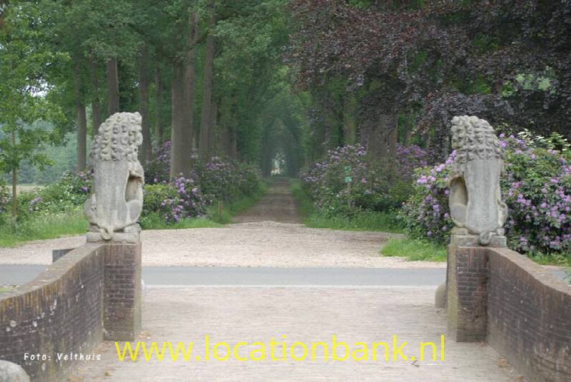 uitzicht op 200 ha bos