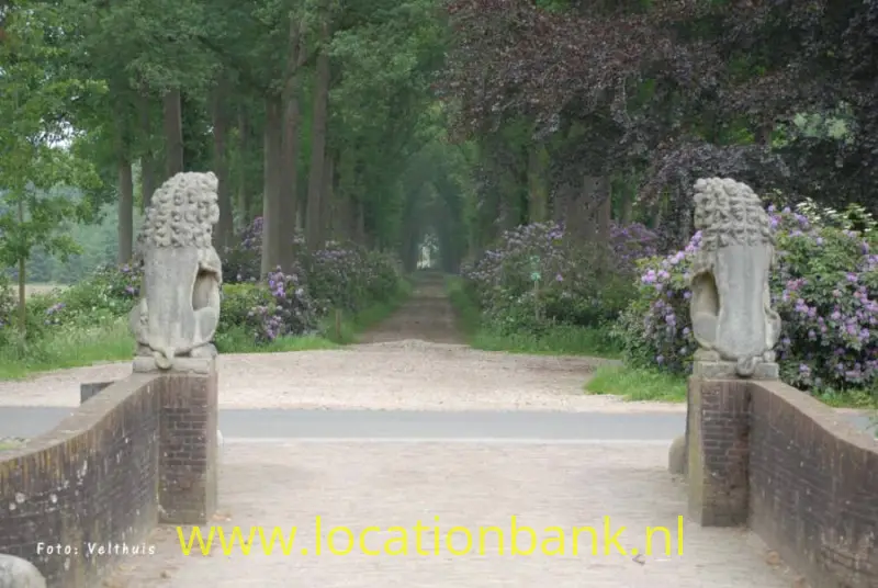 uitzicht op 200 ha bos