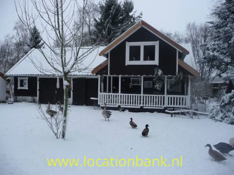 Zweeds huis