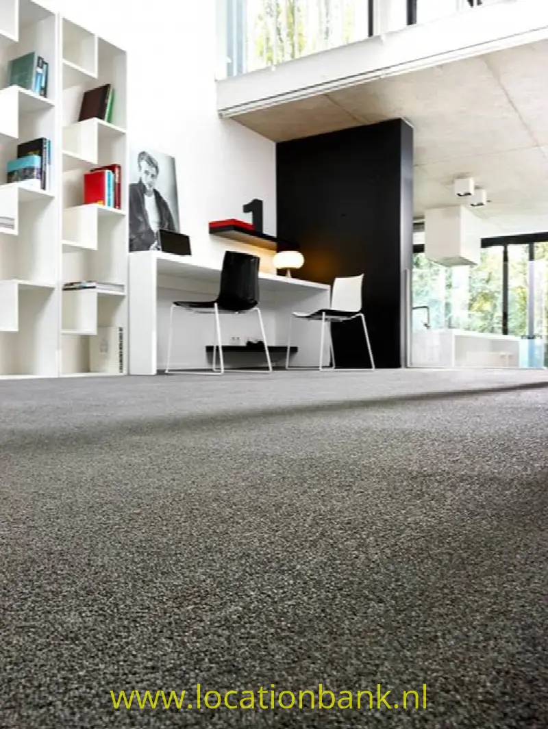 Vide + tijdelijk tapijt loft