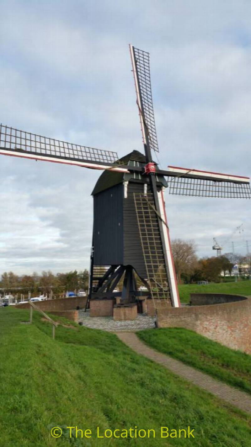 foto_17516