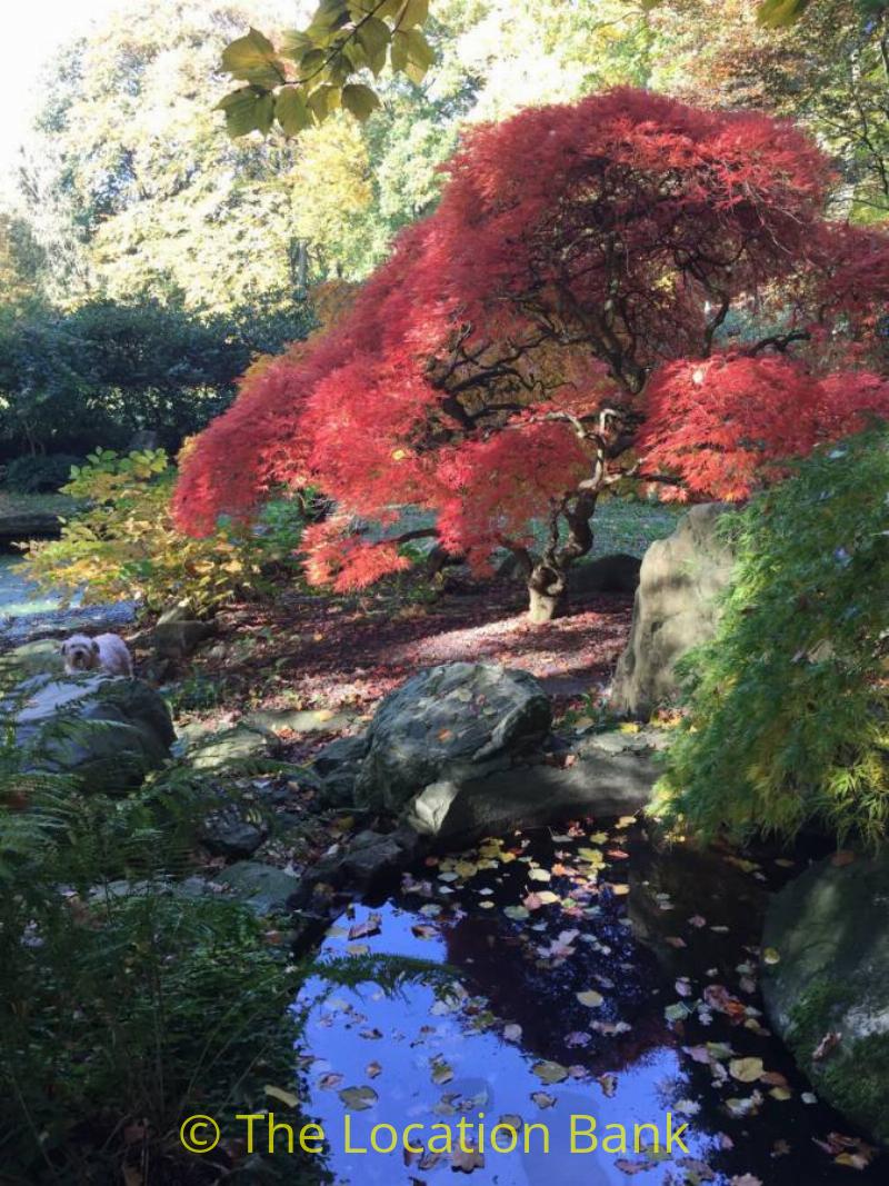 japanse tuin