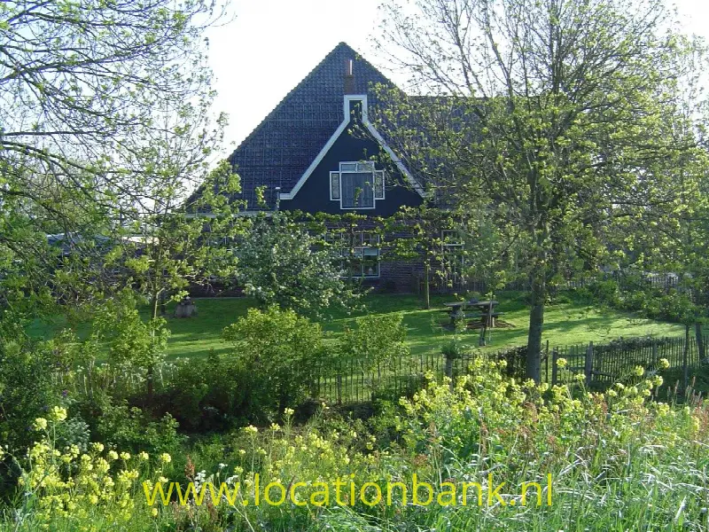 Voorjaar
