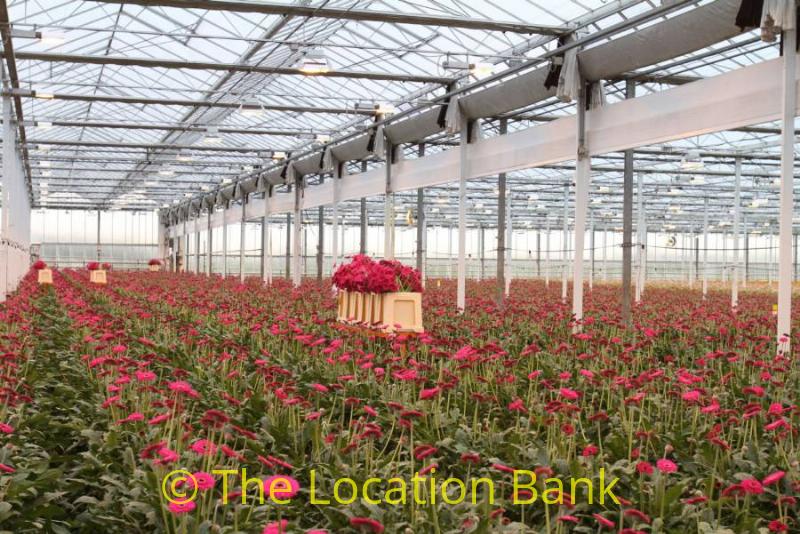 film location 2115