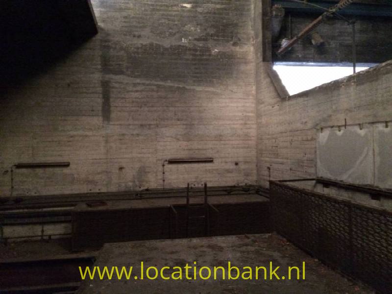 foto_19015