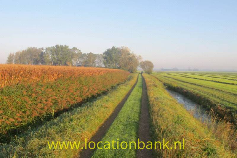 foto_20638