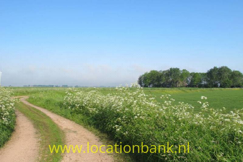 foto_20640