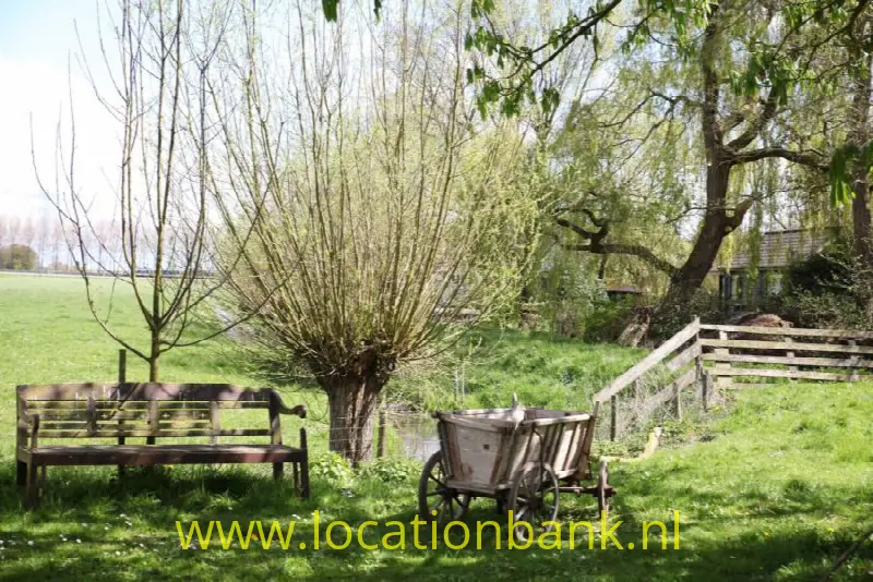 tuin