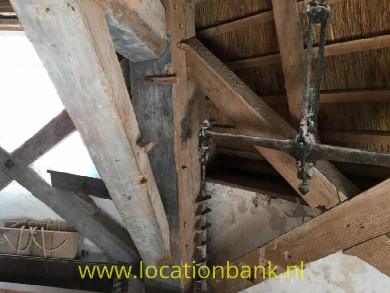 foto_22519