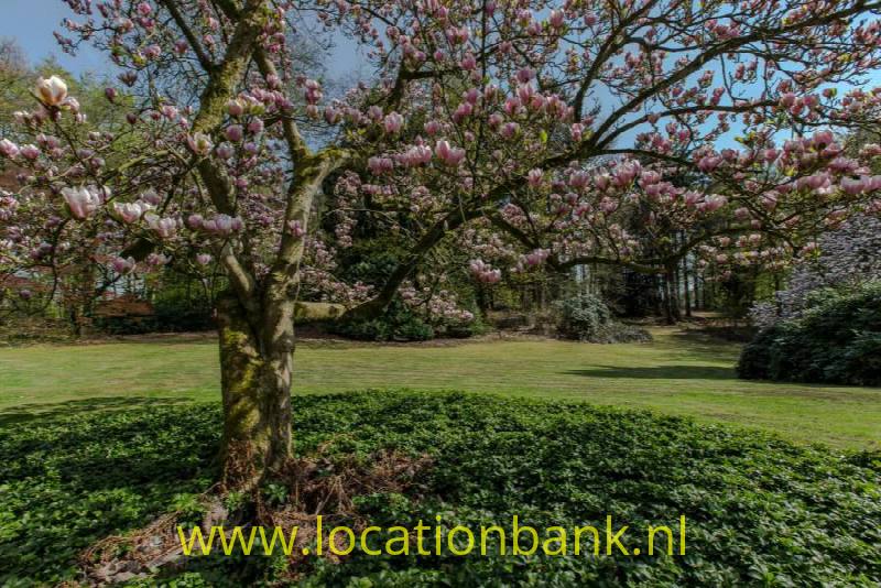 foto_22699