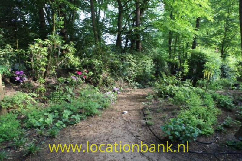 foto_22862