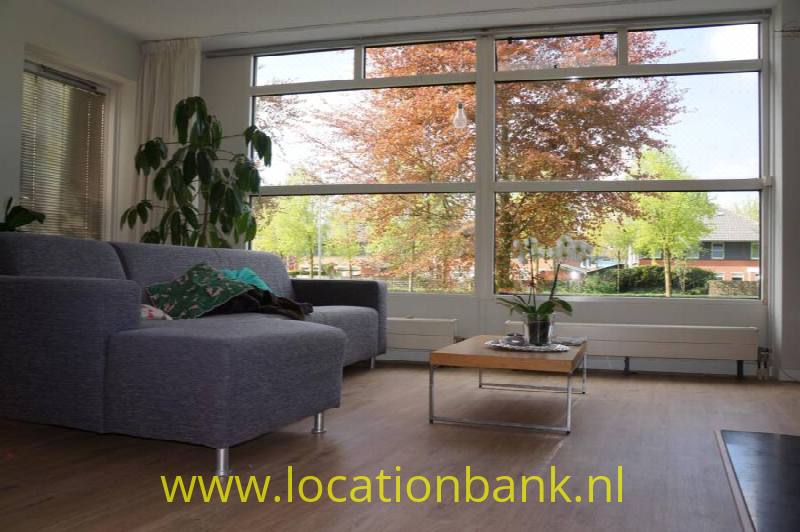 foto_24904