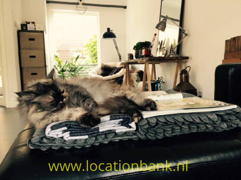 foto_24996