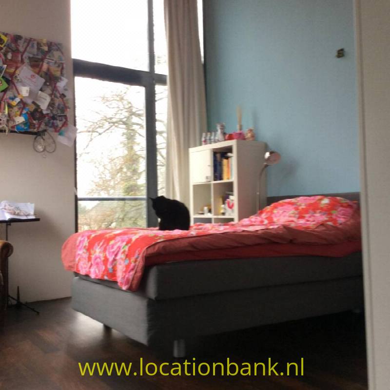 foto_25088
